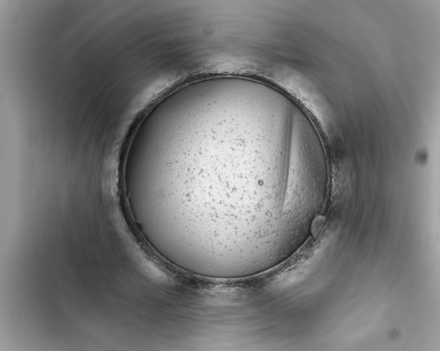 X0000103260581200809191720