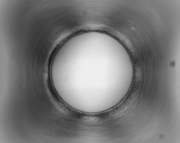 X0000103260582200809191720