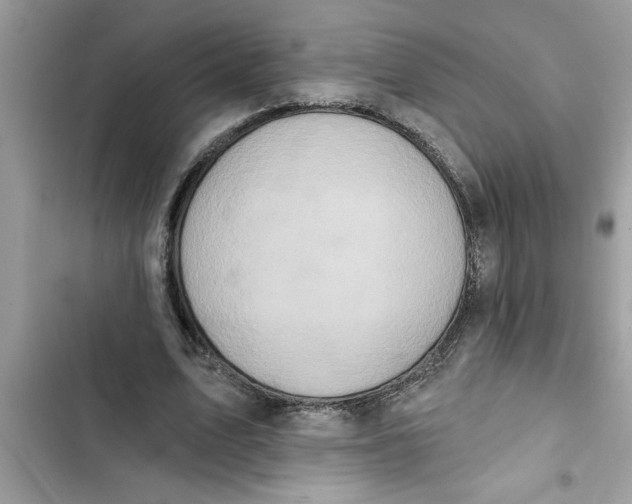 X0000103260583200809191720