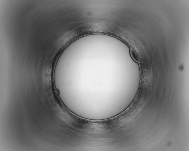 X0000103260585200809191720