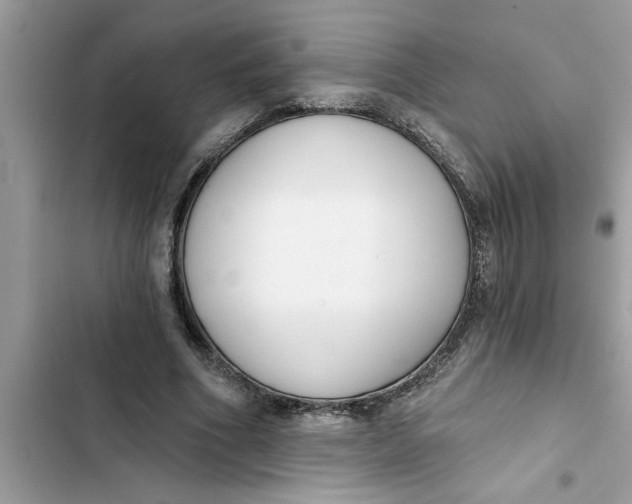 X0000103260586200809191720