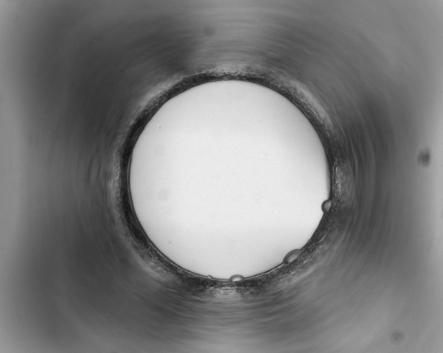 X0000103260588200809191720