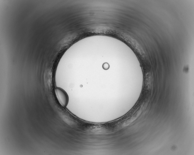 X0000103260589200809191720