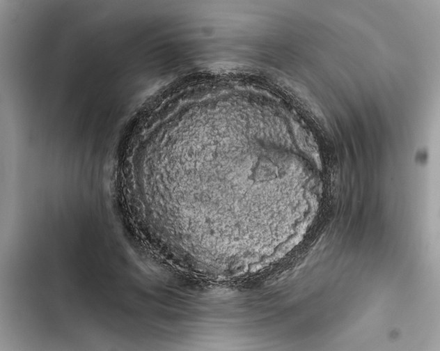 X0000103260592200809191720