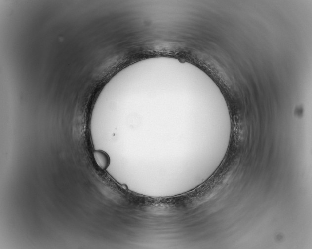 X0000103260593200809191720