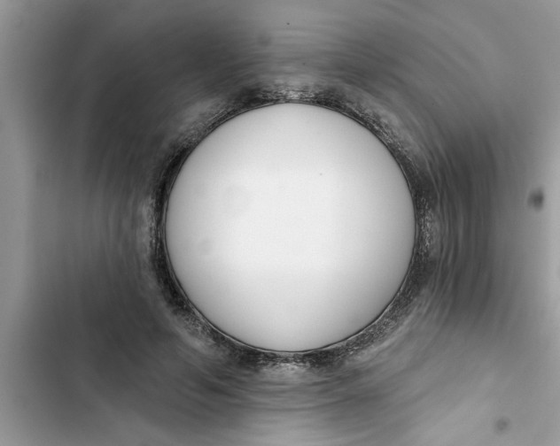 X0000103260594200809191720