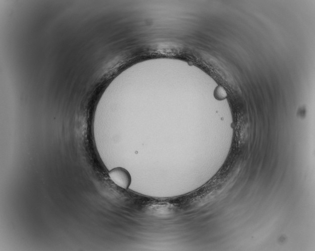 X0000103260595200809191720