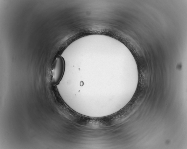 X0000103260596200809191720