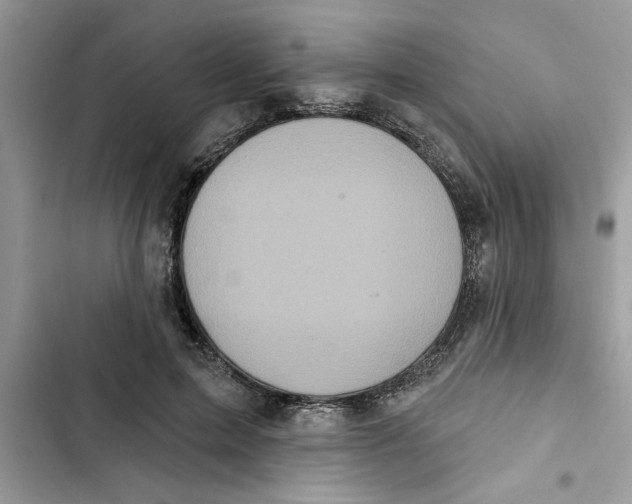 X0000103260599200809191720