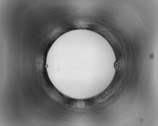 X0000103260600200809191720