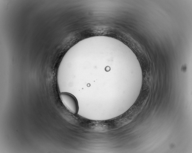 X0000103260601200809191720