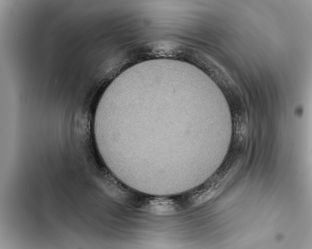 X0000103260603200809191720