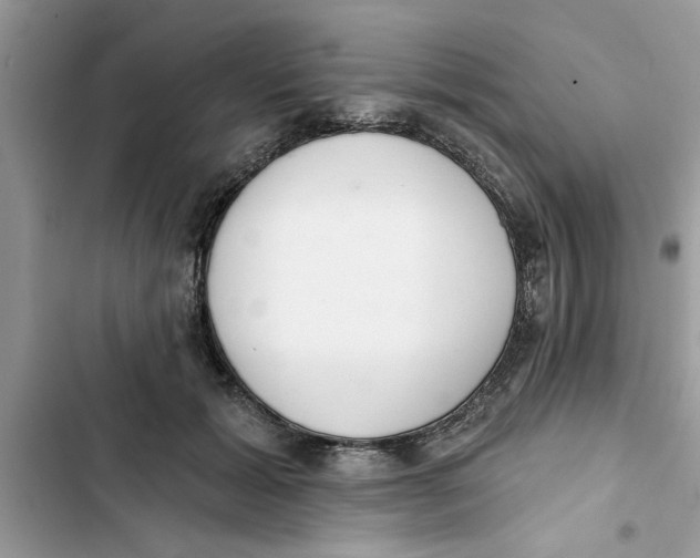 X0000103260605200809191720