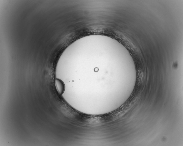 X0000103260609200809191720