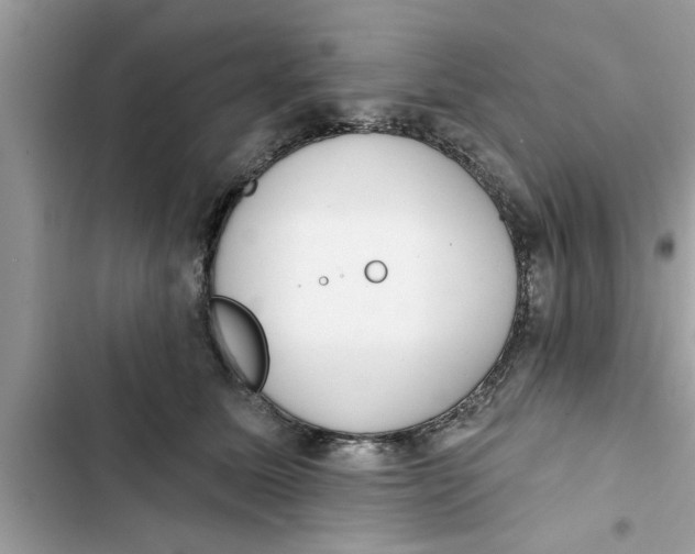 X0000103260611200809191720