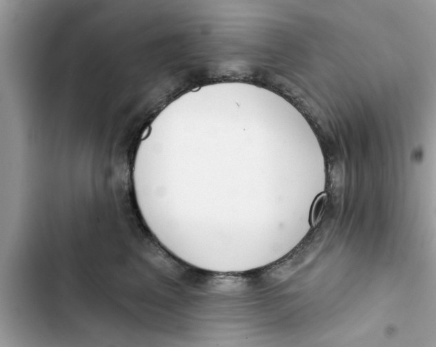 X0000103260617200809191720