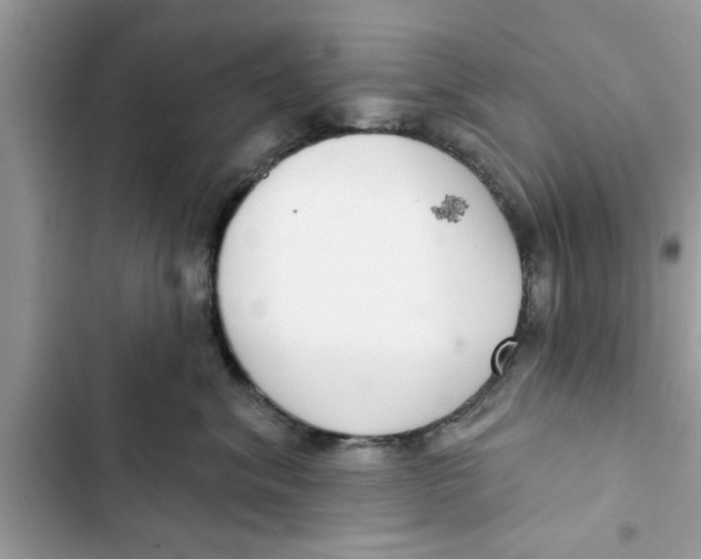 X0000103260620200809191720