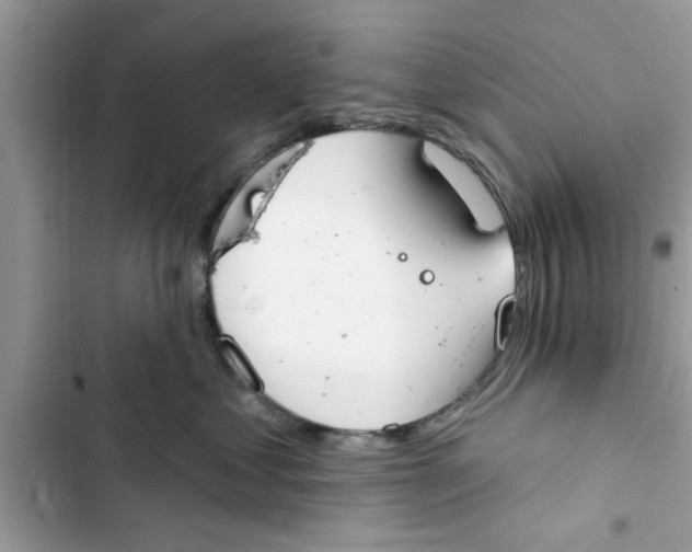 X0000103260621200809191720