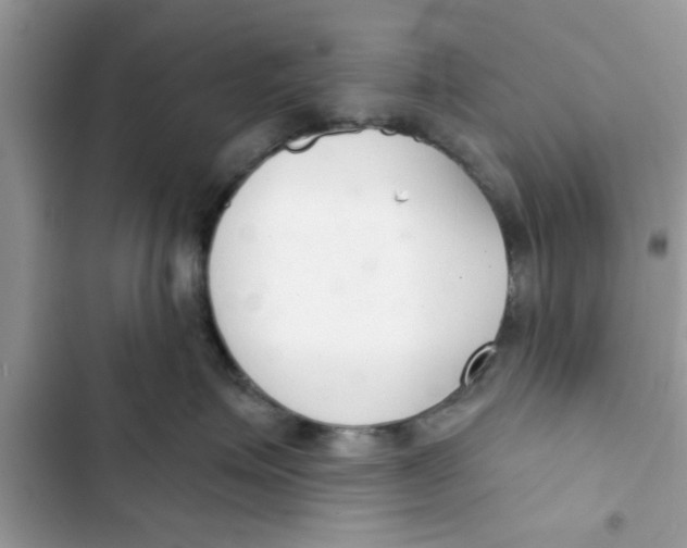 X0000103260623200809191720