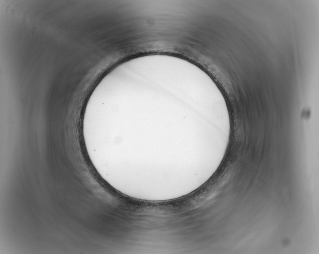 X0000103260625200809191719