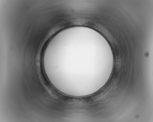 X0000103260626200809191719