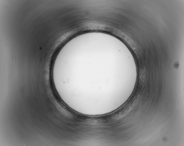 X0000103260629200809191719