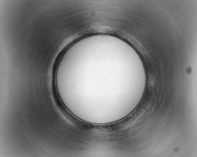 X0000103260630200809191719