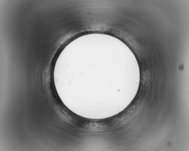 X0000103260632200809191719