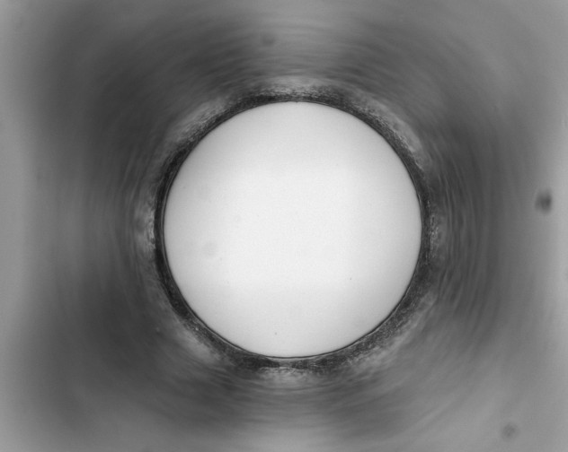 X0000103260633200809191719