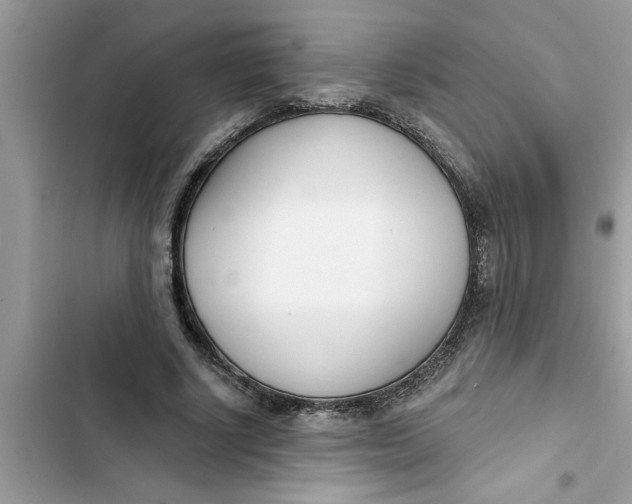 X0000103260634200809191719