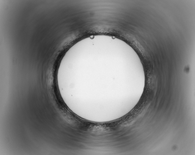 X0000103260635200809191719