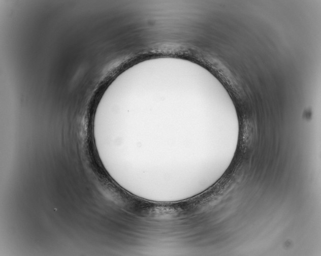 X0000103260636200809191719