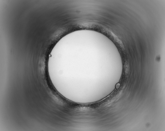 X0000103260637200809191719