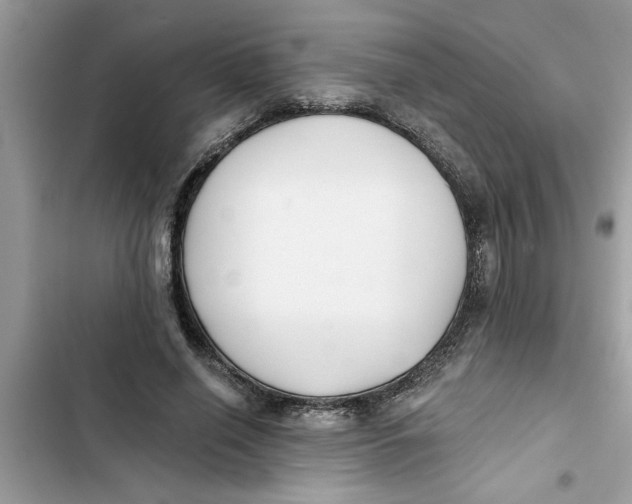 X0000103260638200809191719