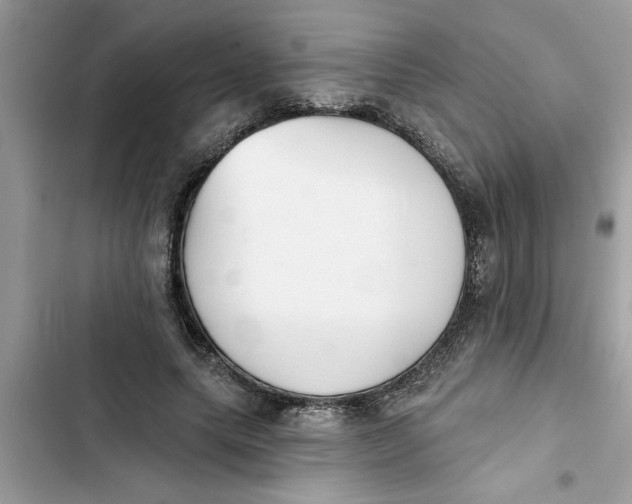 X0000103260639200809191719