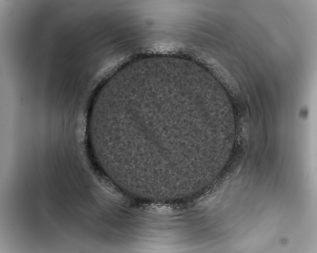 X0000103260640200809191719