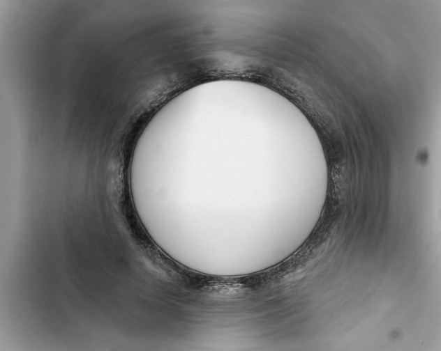 X0000103260642200809191719