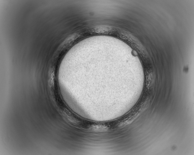 X0000103260644200809191719