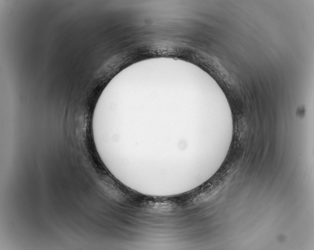 X0000103260645200809191719