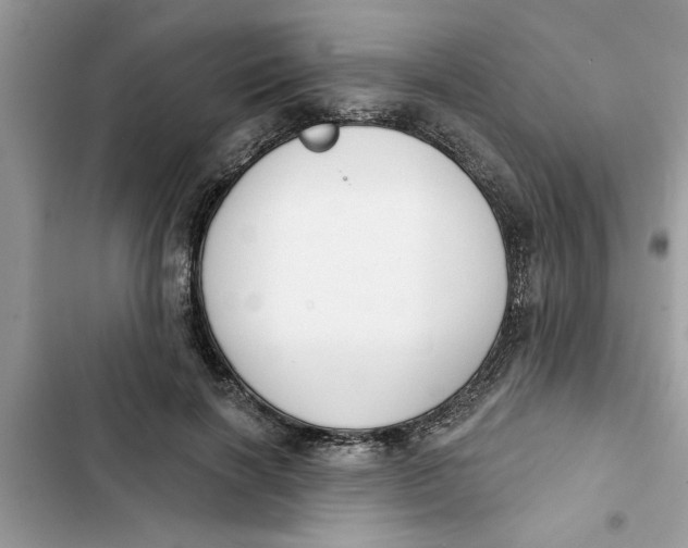 X0000103260646200809191719