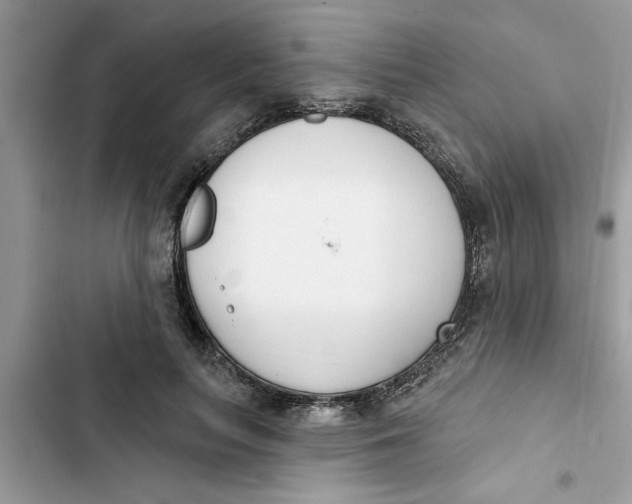 X0000103260647200809191720