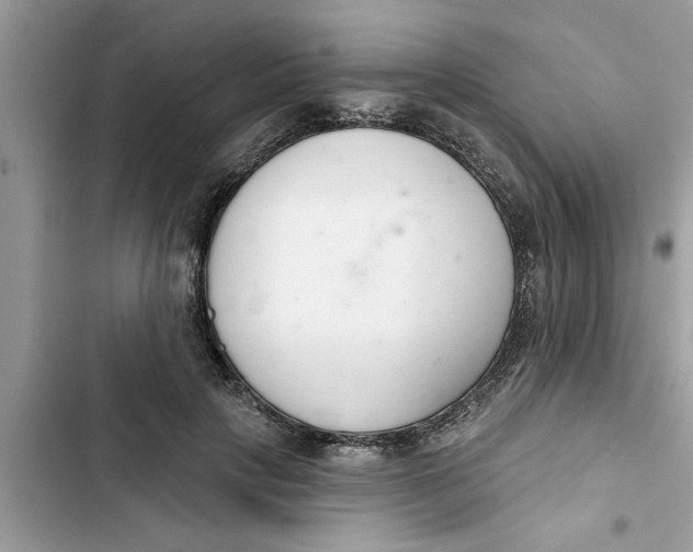 X0000103260649200809191720