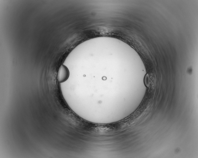 X0000103260650200809191720