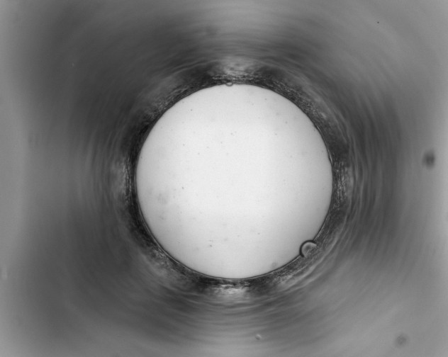 X0000103260651200809191720