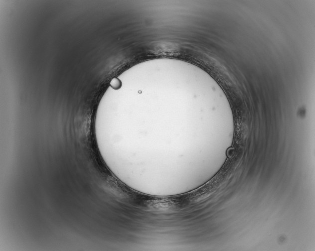 X0000103260652200809191720