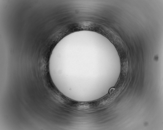 X0000103260653200809191720