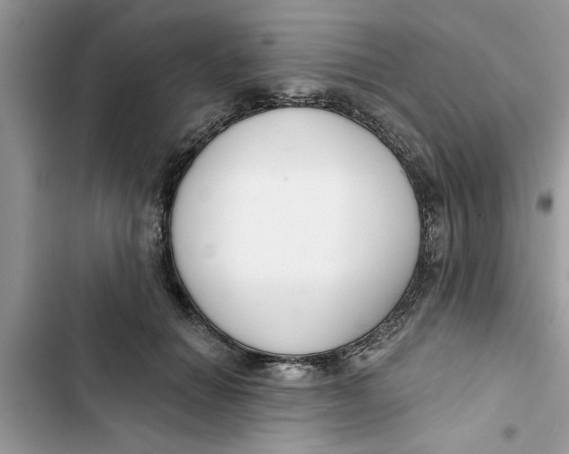 X0000103260654200809191720