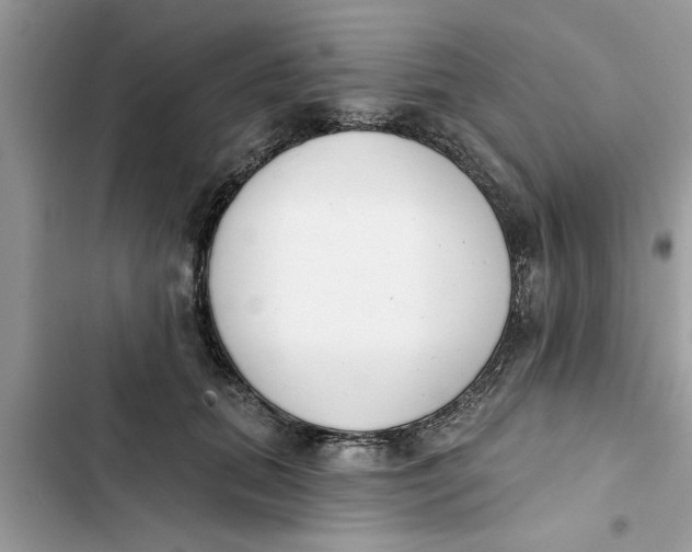 X0000103260655200809191720