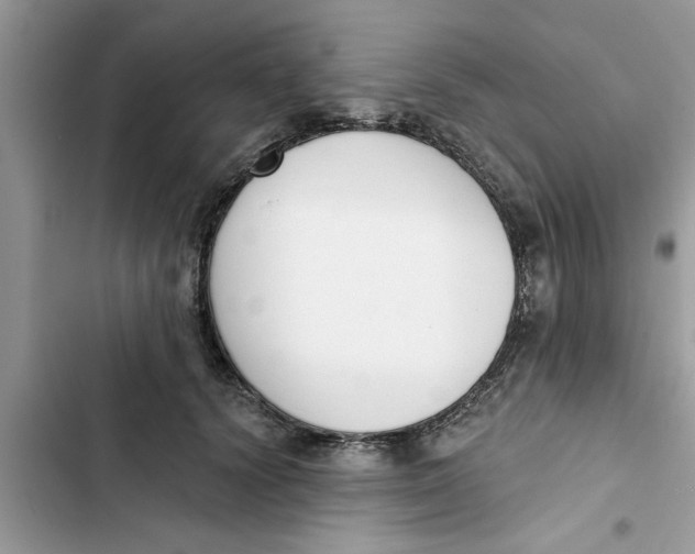 X0000103260656200809191720