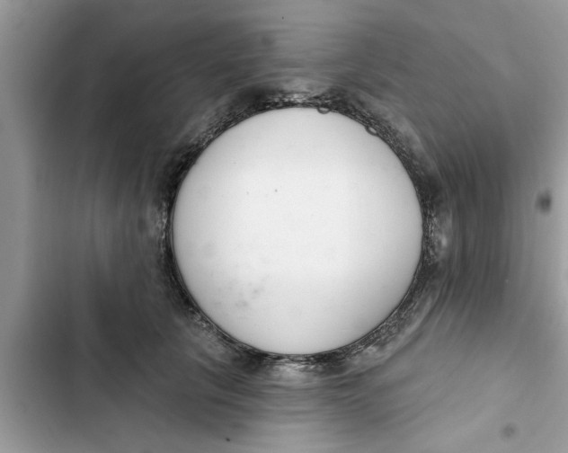 X0000103260657200809191720